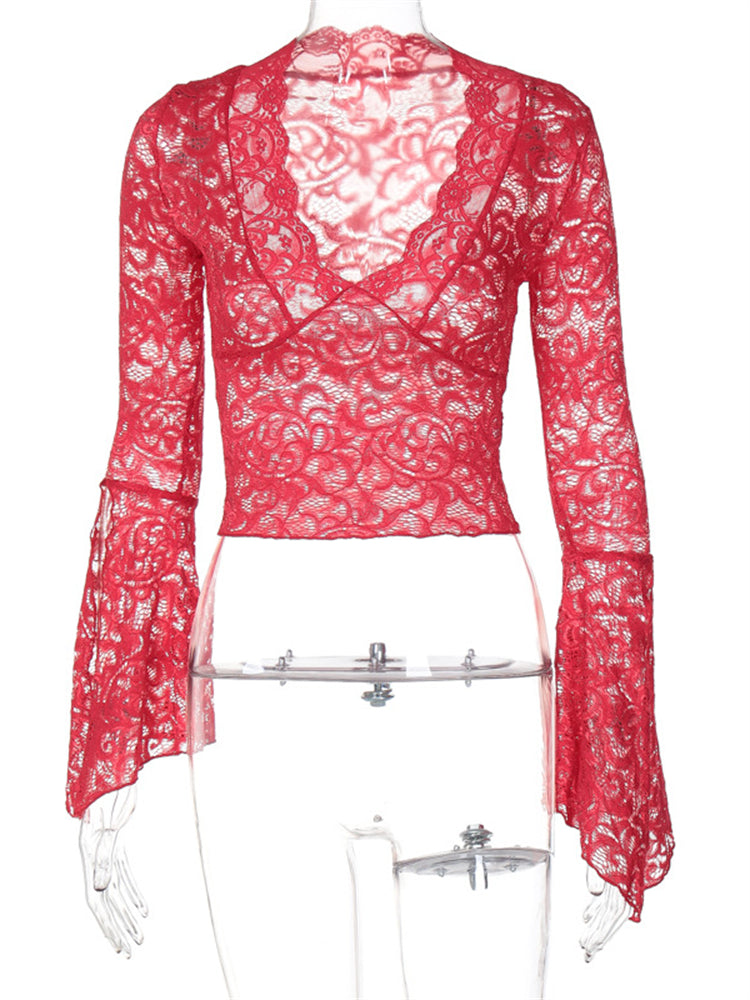 Lace V-Neck Flare Sleeve Top