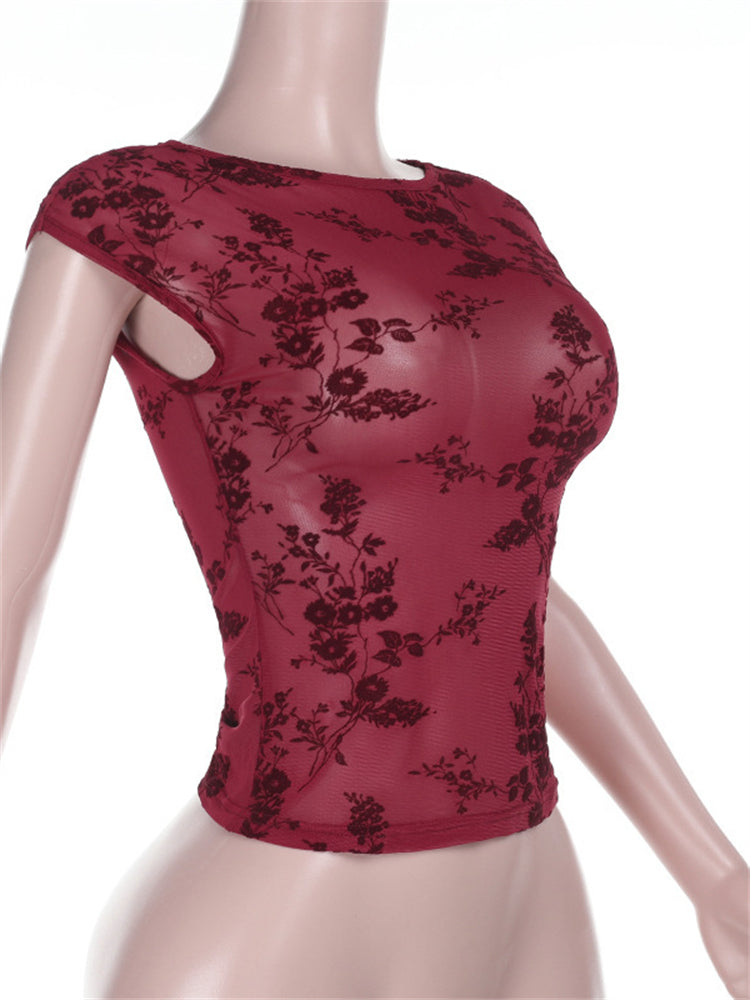 Velvet Mesh Sheer Short Sleeve T-Shirt