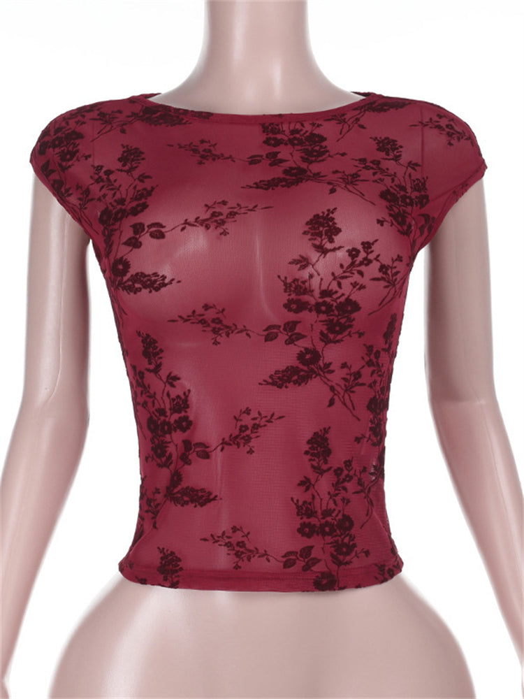 Velvet Mesh Sheer Short Sleeve T-Shirt
