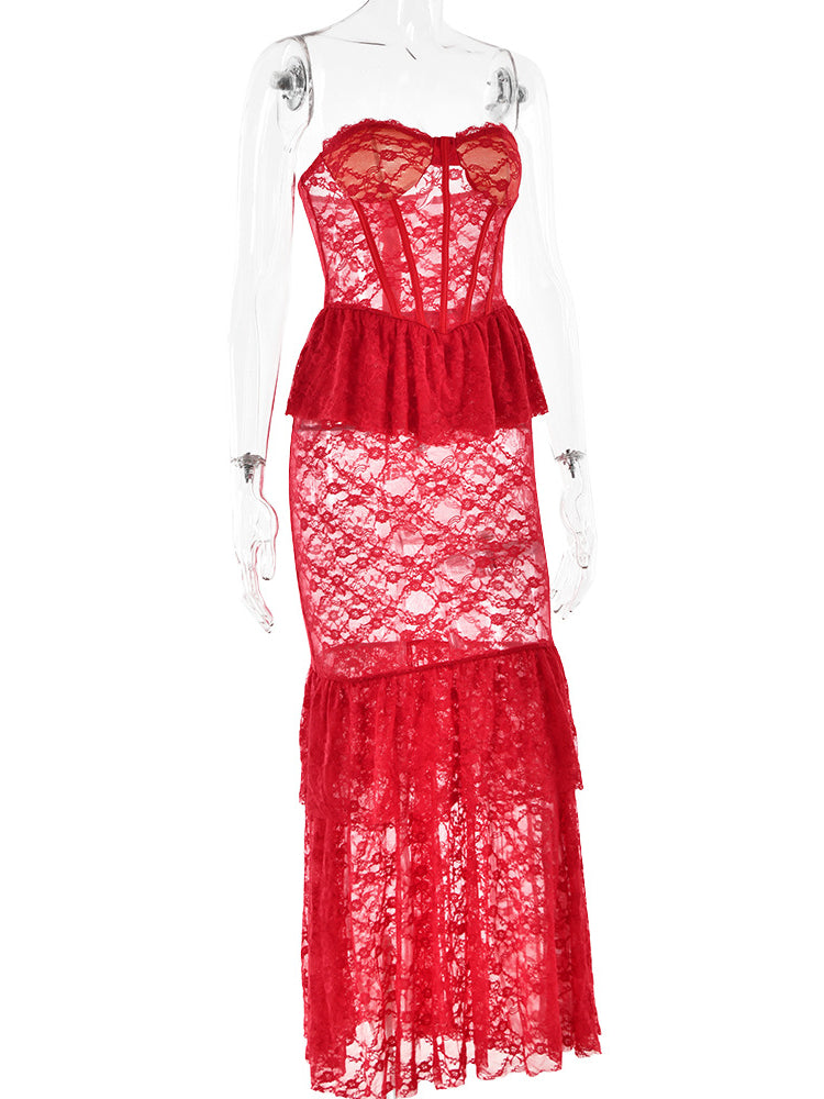 Lace Sheer Sheath Fishtail Maxi Dress